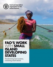 FAO’s work with Small Island Developing States